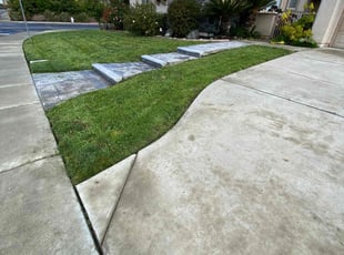 Tanieka T.'s lawn care services service result