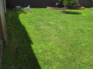 Emanuel R.'s grass cutting service result