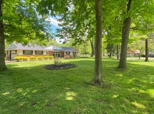 Alexander D.'s lawn care service result