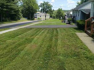 Marie L.'s turf care service result
