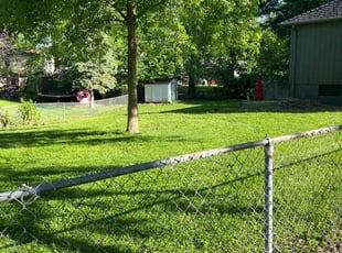 Leyna A.'s lawn care service result