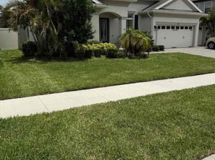 Brenna B.'s grass cutting service result