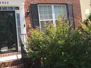 Fay C.'s Bush Trimming service result