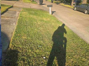 Jennifer S.'s grass cutting service result