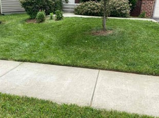 Keith D.'s lawn care service result