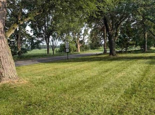 Ta-Me C.'s landscaping service result