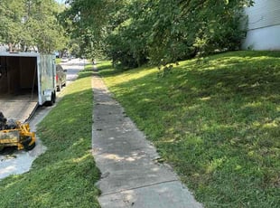 Sam L.'s grass maintenance service result
