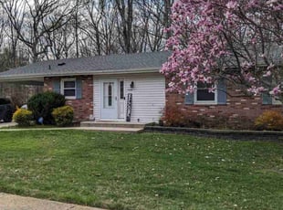 Lorraine M.'s lawn care services service result
