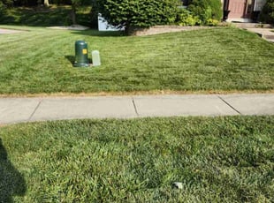 Tricia B.'s lawn service service result