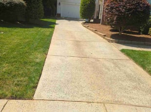 Jessica N.'s lawn service service result