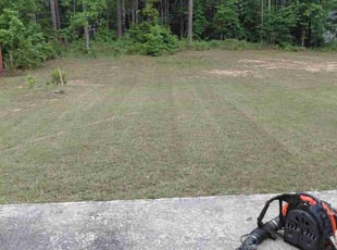 Blaise H.'s grass maintenance service result