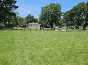Shalynn M.'s lawn service service result