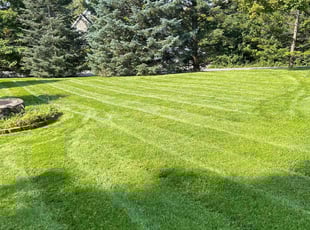 Jonathan G.'s lawn care service result