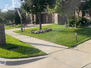 Jennifer A.'s grass maintenance service result