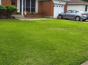 Keisha H.'s grass cutting service result