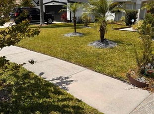 Luanne R.'s grass cutting service result