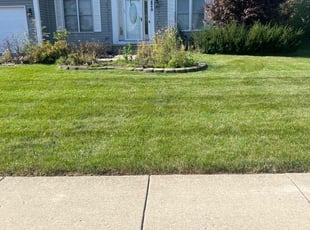 Merlina W.'s turf maintenance service result