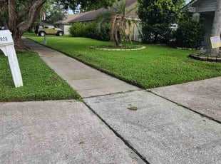 Joe P.'s turf care service result