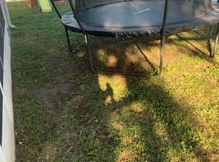 Jose C.'s turf care service result