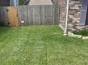 Anthony M.'s lawn service service result