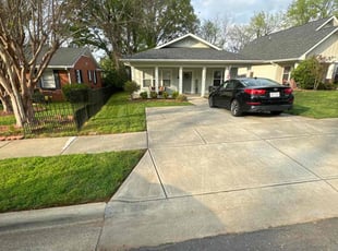 Shakera D.'s lawn care service result