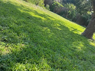 Donna E.'s lawn service service result