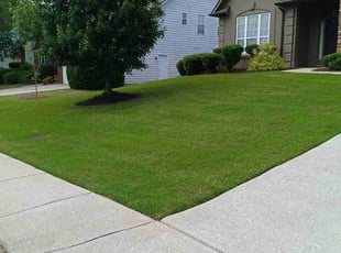 Tawanda G.'s turf maintenance service result