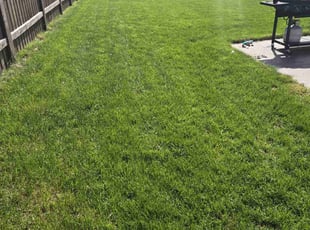 Sandra G.'s lawn service service result