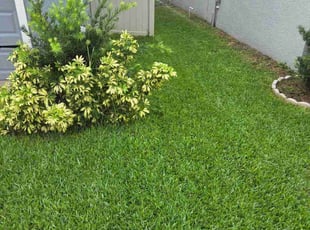 Brittany S.'s lawn care service result