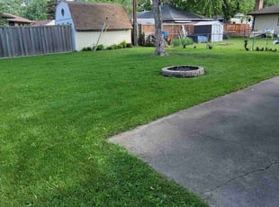 Anita B.'s grass maintenance service result