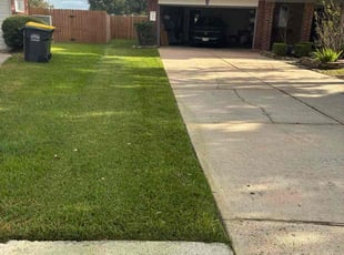 Raul C.'s turf care service result