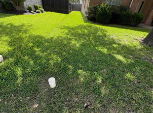 Roger C.'s grass cutting service result