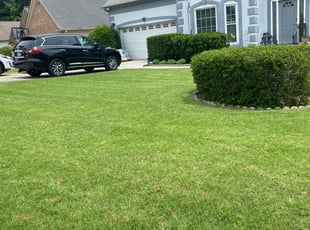 Darin F.'s grass maintenance service result