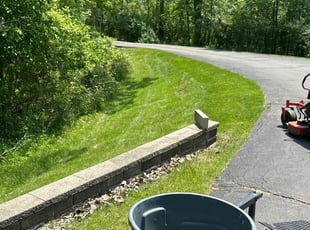 Sharon P.'s grass maintenance service result
