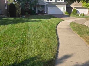 Josh C.'s lawn care services service result