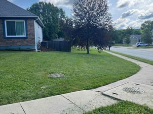 Thomas W.'s grass maintenance service result