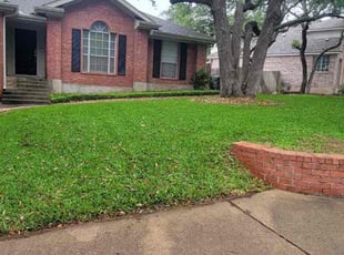 Carly H.'s grass maintenance service result