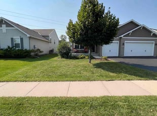 Daniel G.'s lawn maintenance service result