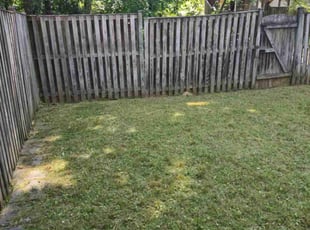 Kurtis L.'s turf maintenance service result
