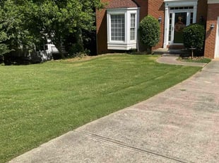 Ann E.'s lawn maintenance service result