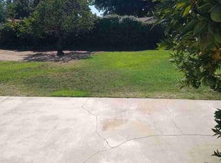 Daniel L.'s lawn service service result