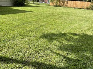 Keith T.'s lawn service service result
