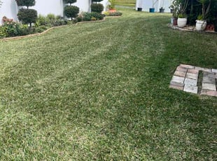 Melissa A.'s turf care service result