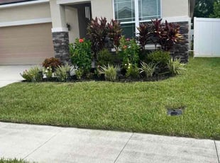 Lisa V.'s lawn care services service result