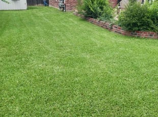 Jolinda M.'s lawn service service result