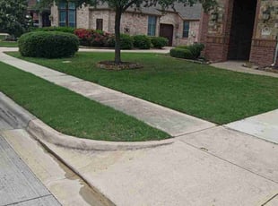 Jean H.'s lawn service service result
