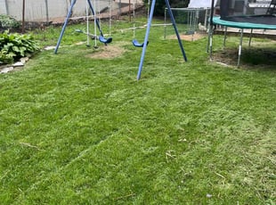 Lisa S.'s lawn care service result