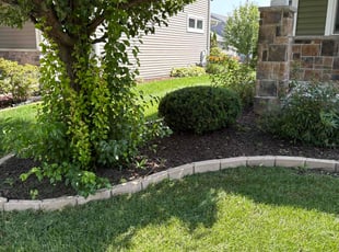 Sue H.'s Bush Trimming service result