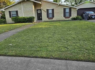 Kelly W.'s turf care service result