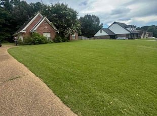 Virginia D.'s lawn maintenance service result